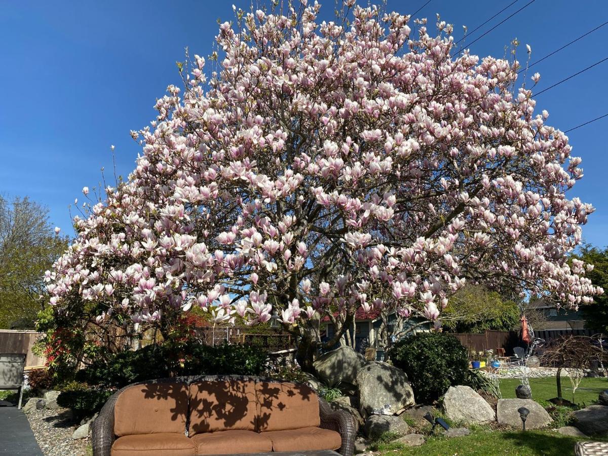 Xanadu 世外桃源 Villa Tsawwassen Eksteriør billede